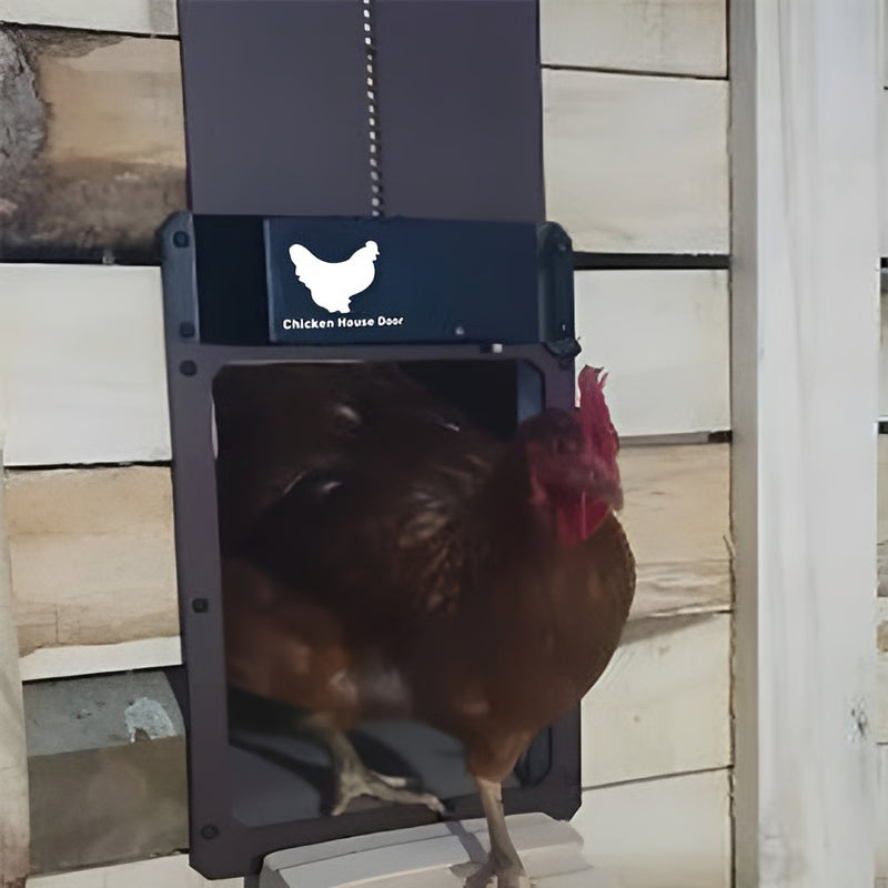 Poultry Farm Automatic Chicken House Door