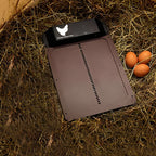 Poultry Farm Automatic Chicken House Door