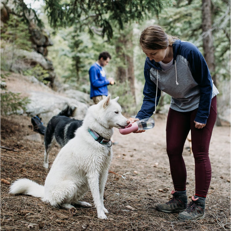 BottleDoggy Portable Drinking Water Bottle